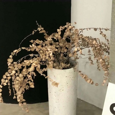 兽设配饰设计灵感合集FurryQQ群